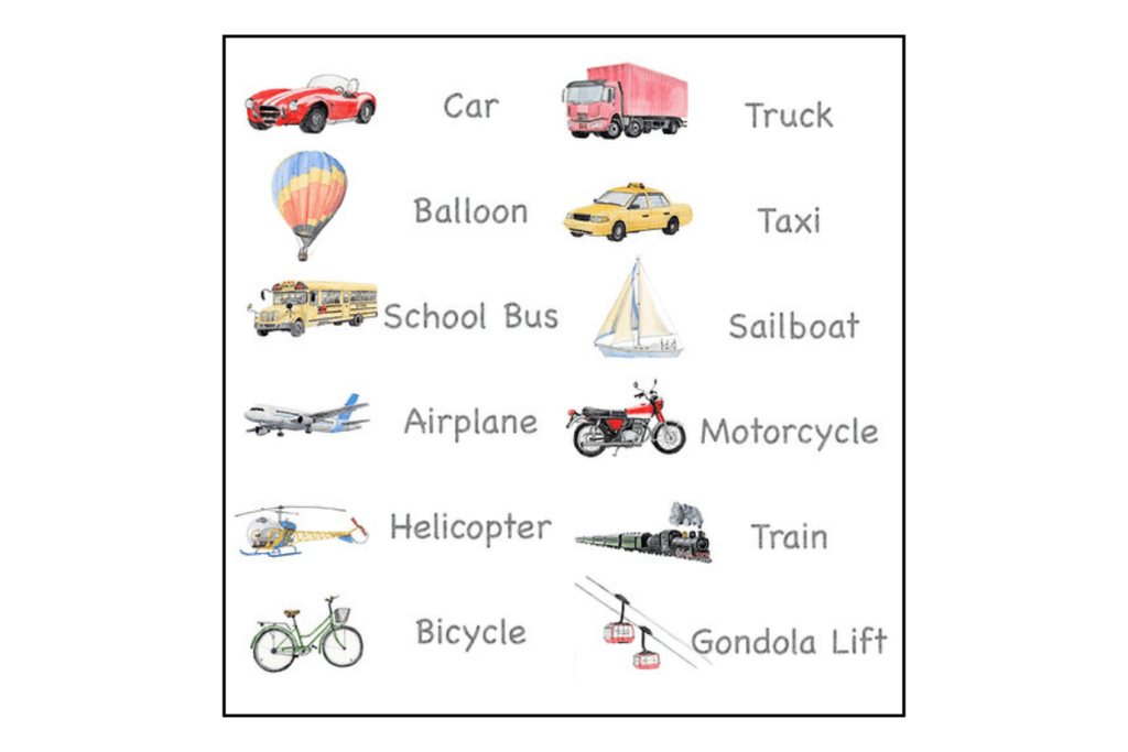 Nomenclature Cards (Multiple Themes Available)