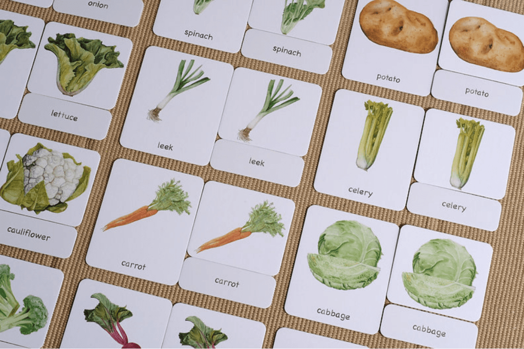 3-Part Language Cards (Watercolour) (Multiple Themes Available)