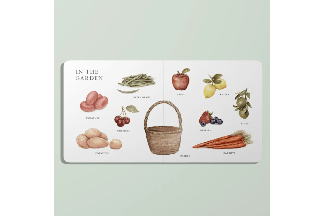 Penguin Random House Our Big Book Of First Words [BOARD BOOK]