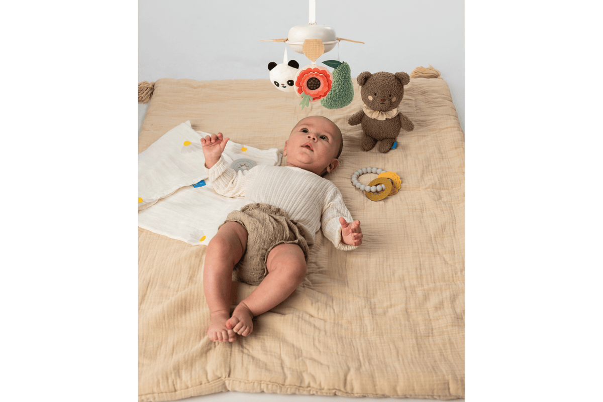 Taf Toys - Luxury Newborn Kit