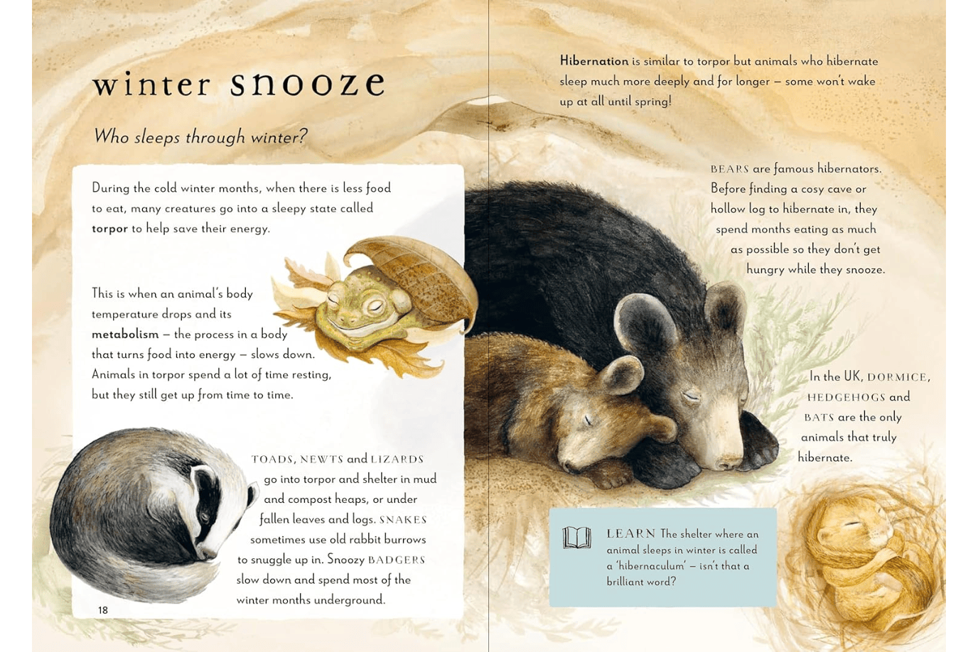 Penguin Random House Book A Field Guide to Winter: Play and Learn in Nature by Gabby Dawnay [HARDCOVER]