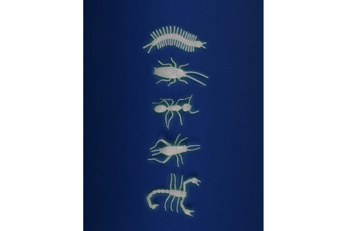 Fire the Imagination Glow-in-the-Dark Insects