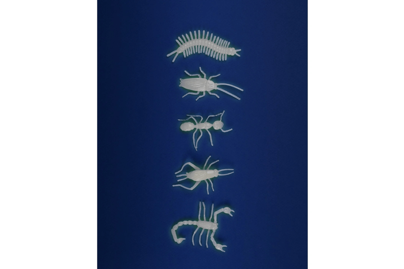 Fire the Imagination Glow-in-the-Dark Insects