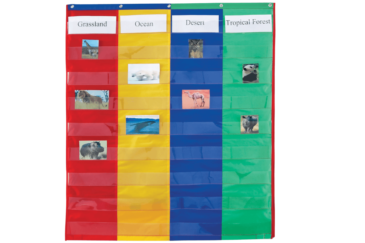 Playwell 2- & 4-Column Double-Sided Pocket Chart