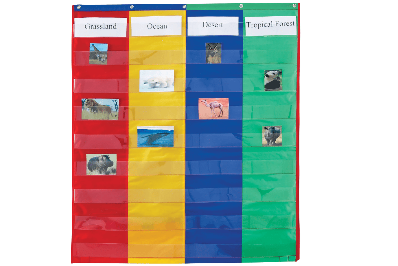 Playwell 2- & 4-Column Double-Sided Pocket Chart