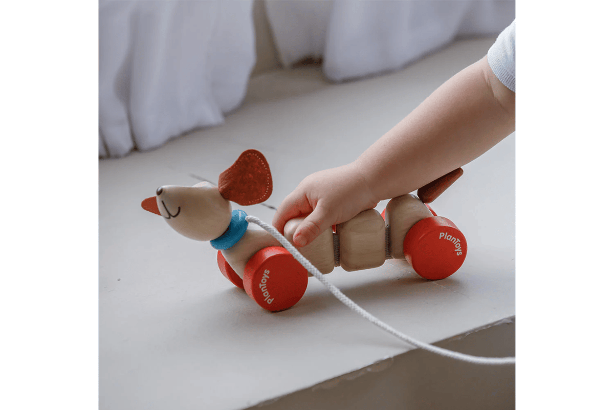 Fire The Imagination Plan Toys Pull Along Puppy