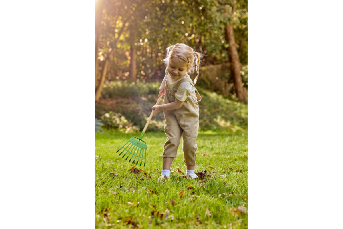 Hape Lawn Rake