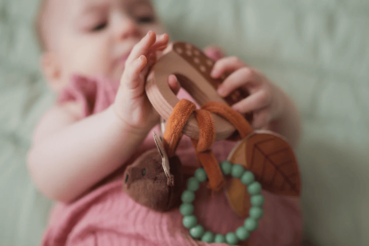 PJM Distributions Inc. Acorn Rattle