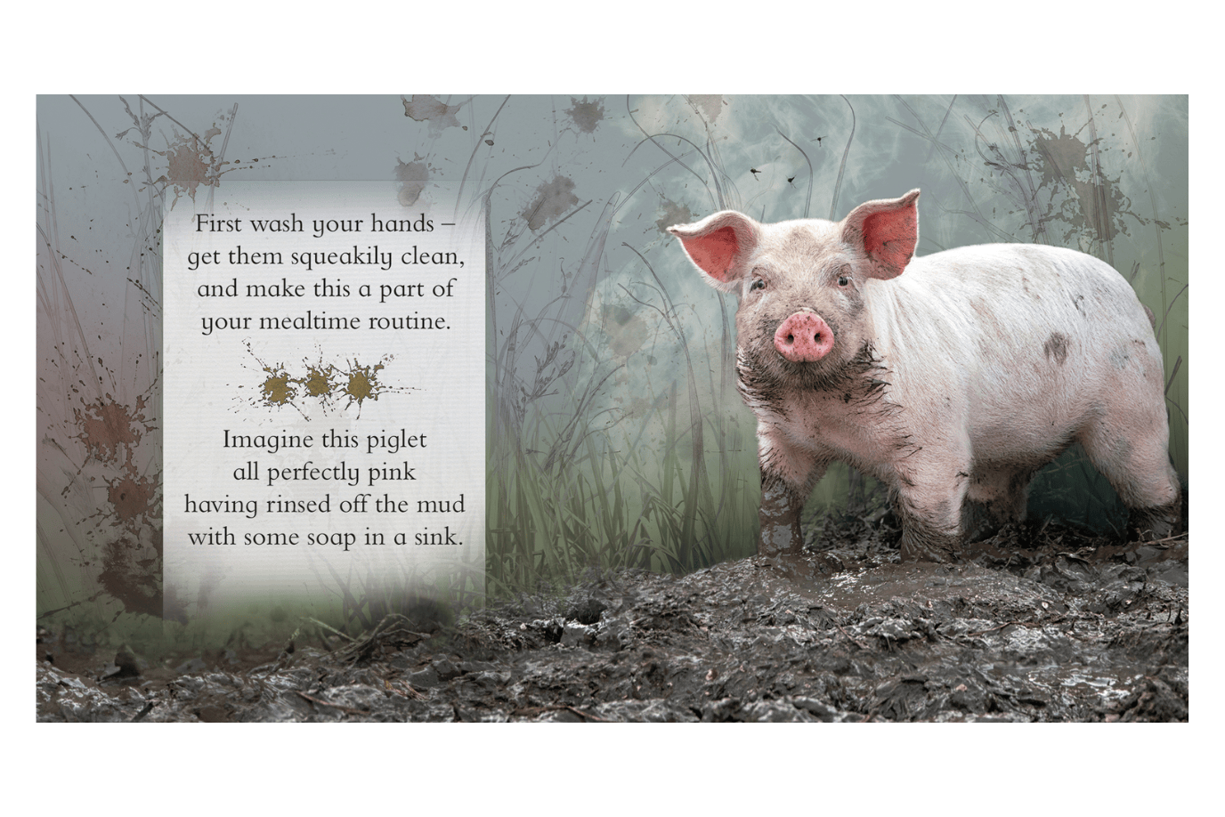 Firefly Books Feeling Hungry: Mealtimes Made Easy With Your Animal Friends