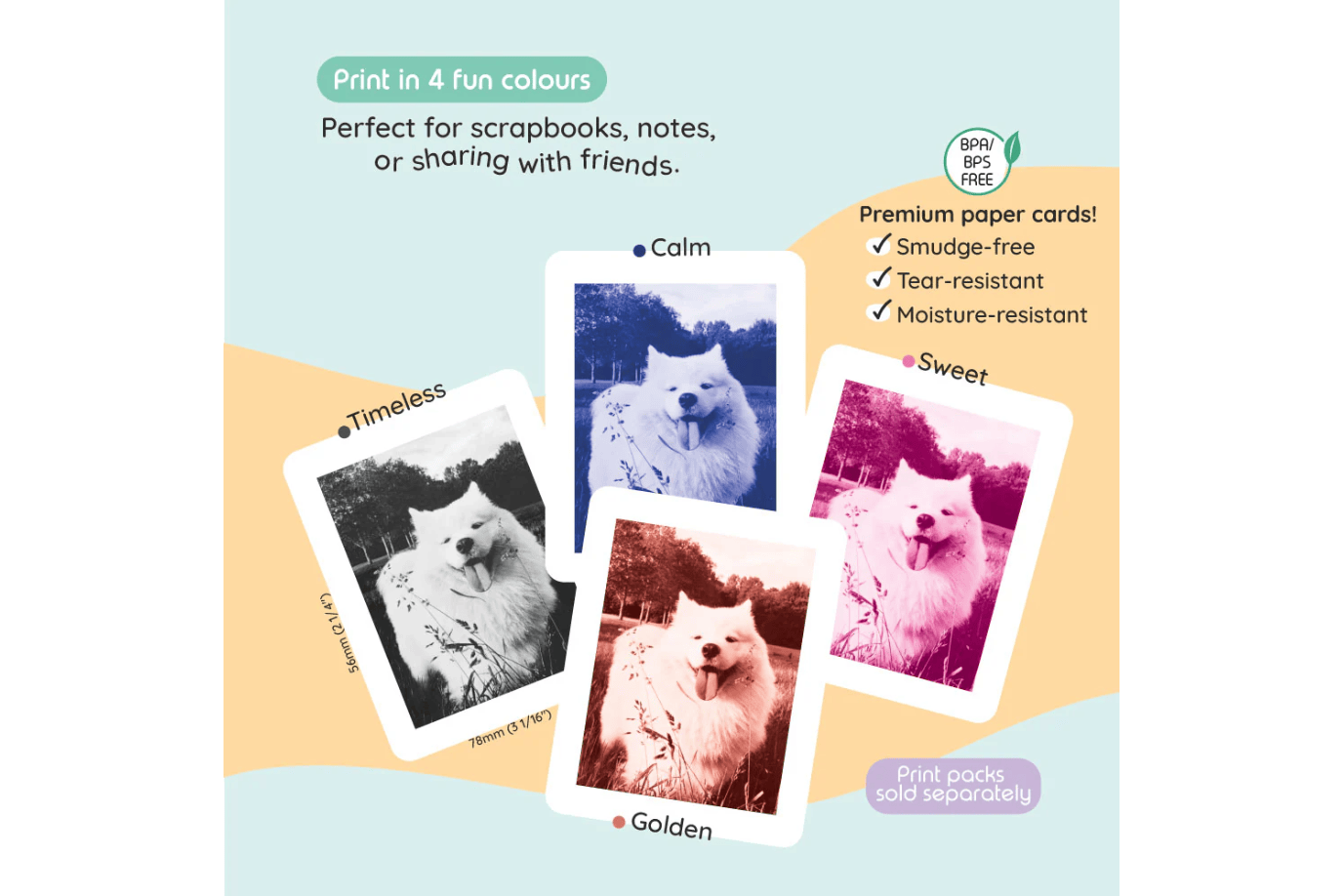 kiimento Kiimento Model P2 Cameras [2 Models]