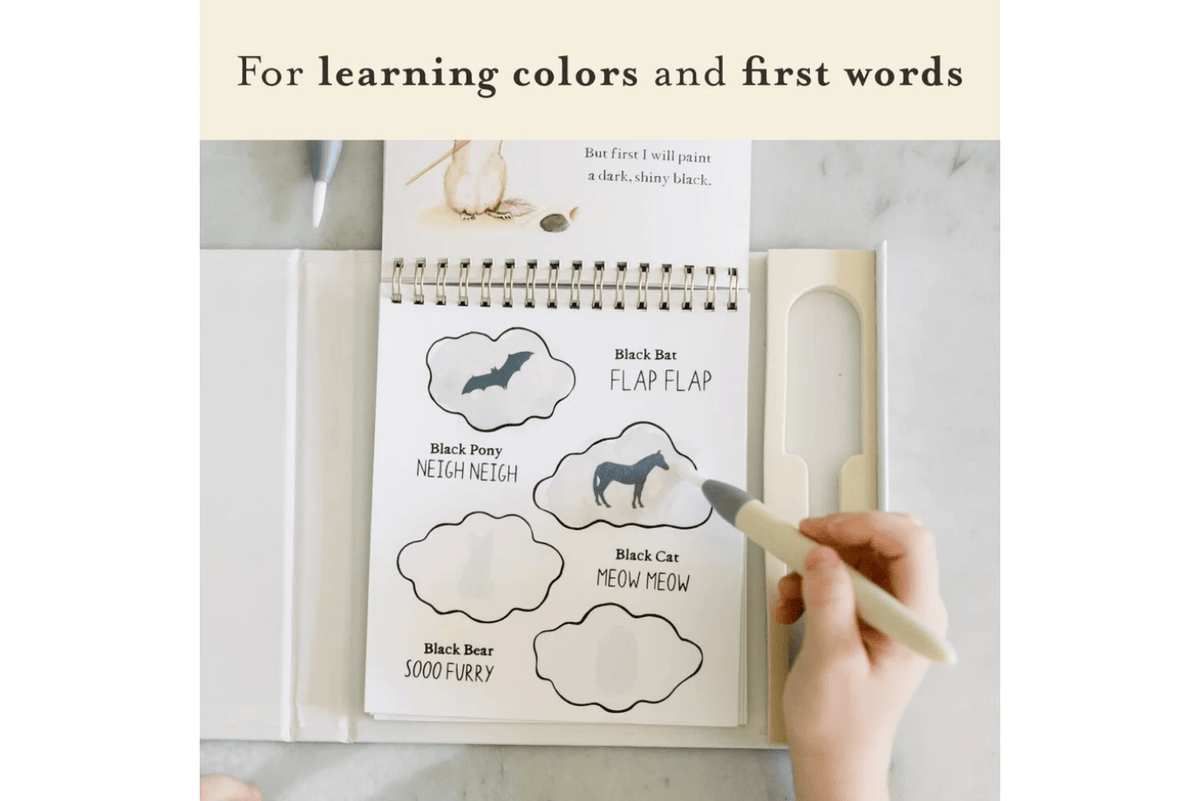 Wishy Washy: A Reusable Water Reveal Activity Book Teaching First Words and Colours