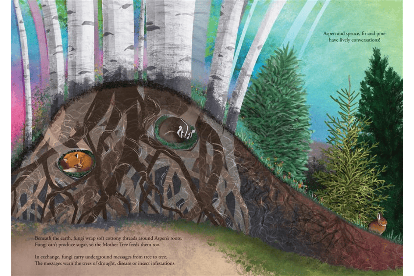 University of Toronto Press Book Mother Aspen: A Story of How Forests Cooperate and Communicate by Annette LeBox [HARDCOVER]