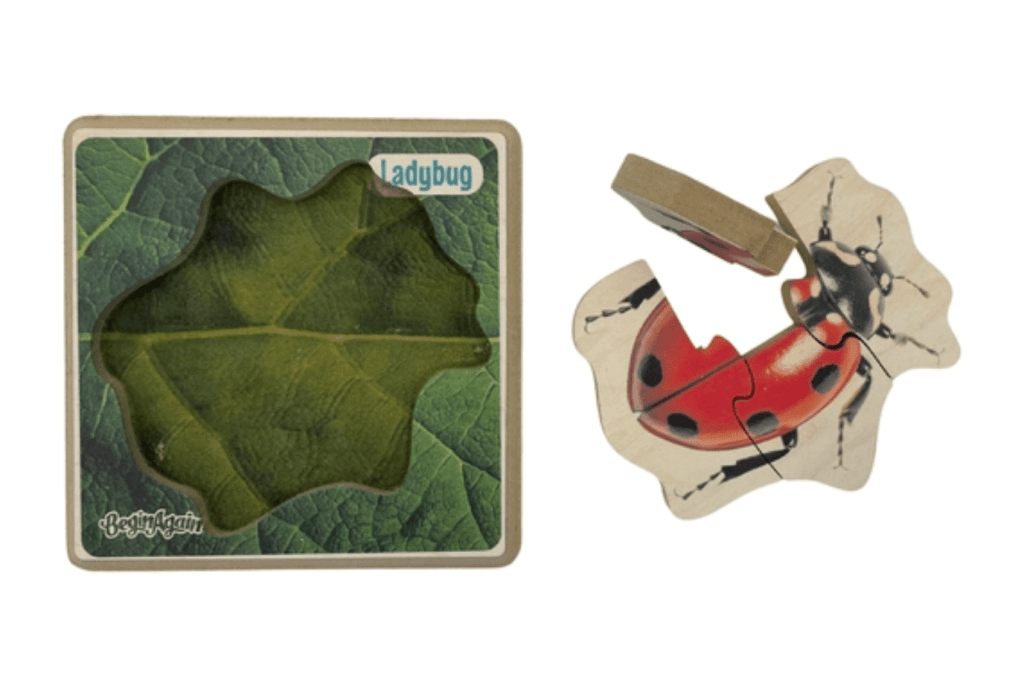 Beginner Insect Puzzles