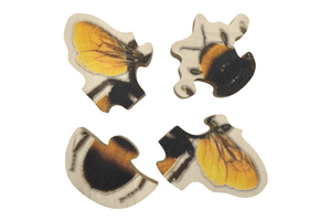4-Piece Insect Puzzles