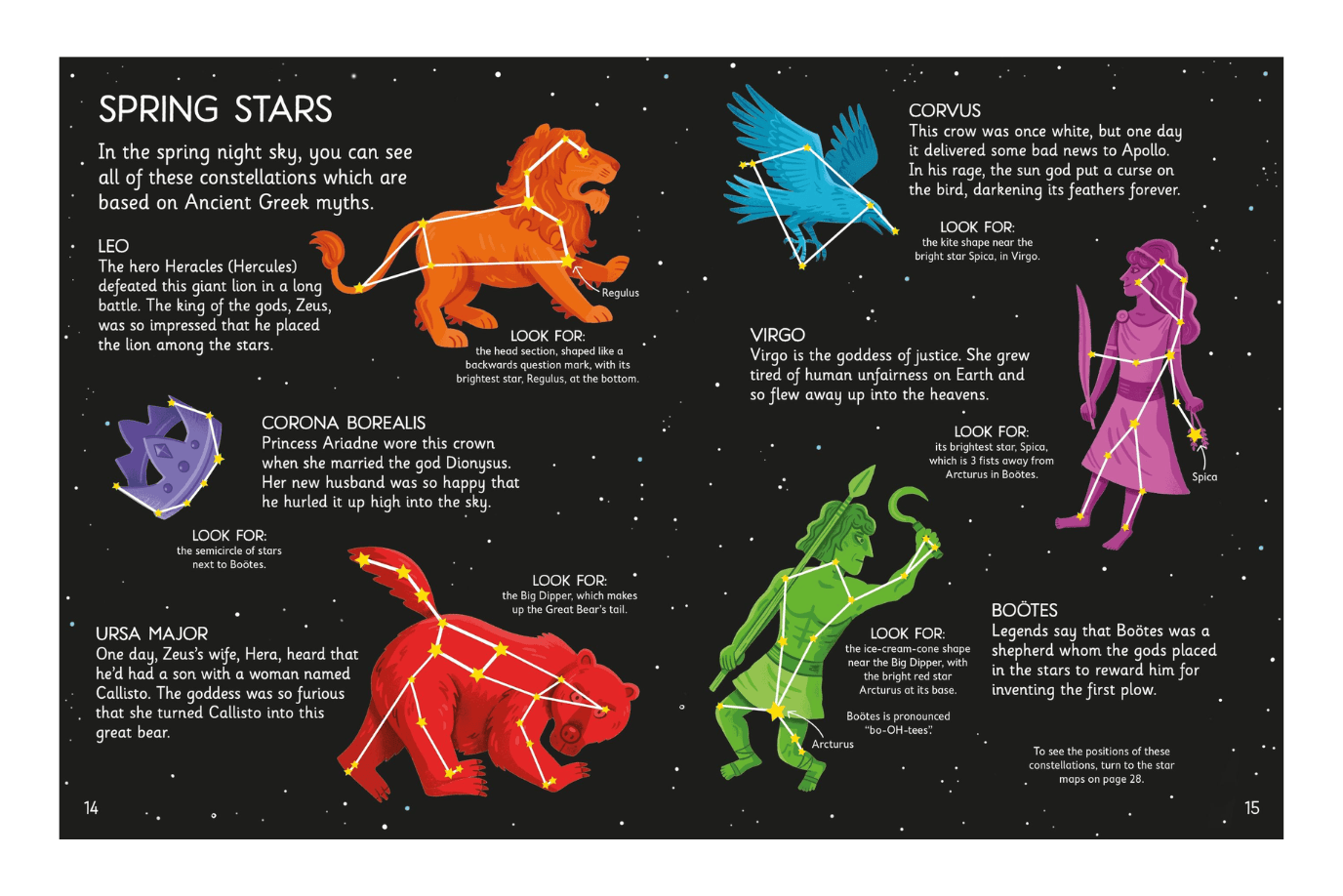 Harper Collins Book Usborne Stargazing Book