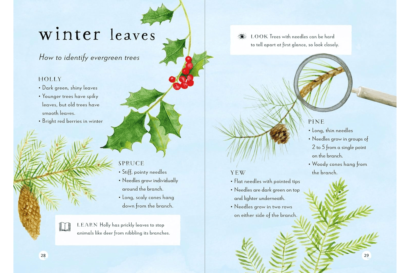 Penguin Random House Book A Field Guide to Winter: Play and Learn in Nature by Gabby Dawnay [HARDCOVER]