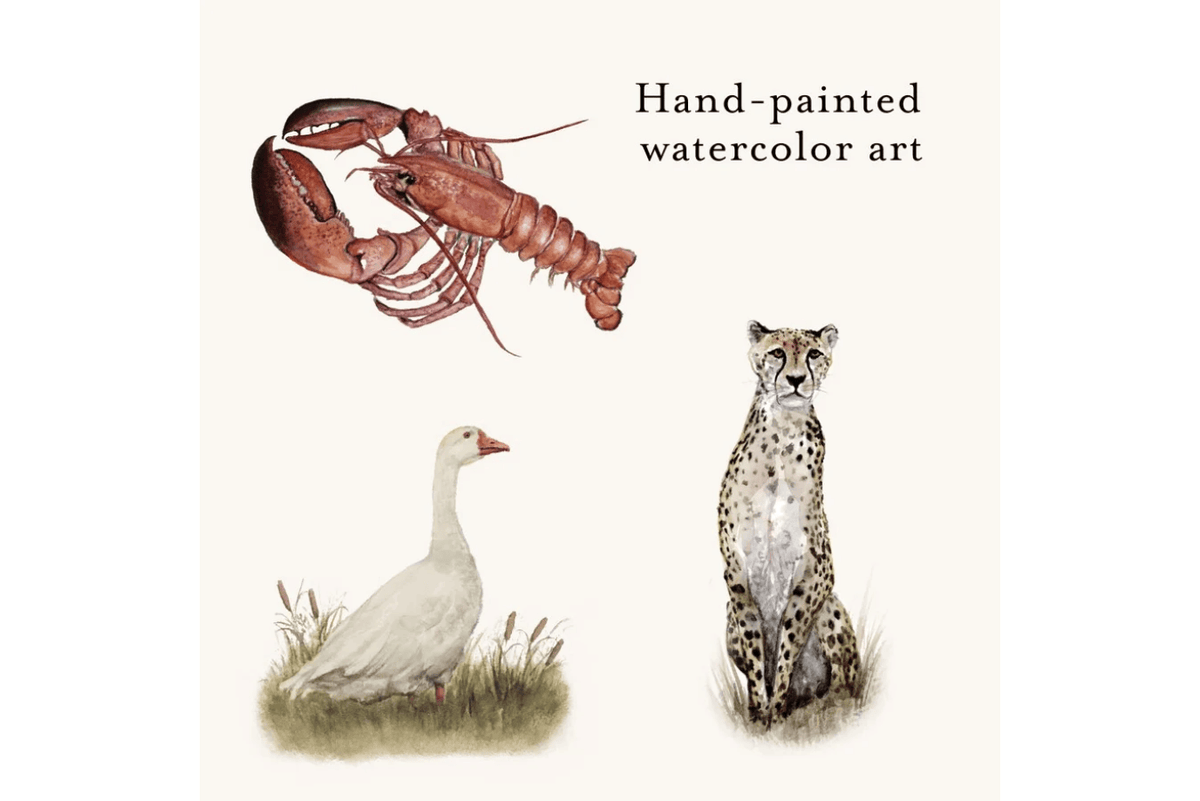 Penguin Random House Our Big Book Of Animals [BOARD BOOK]