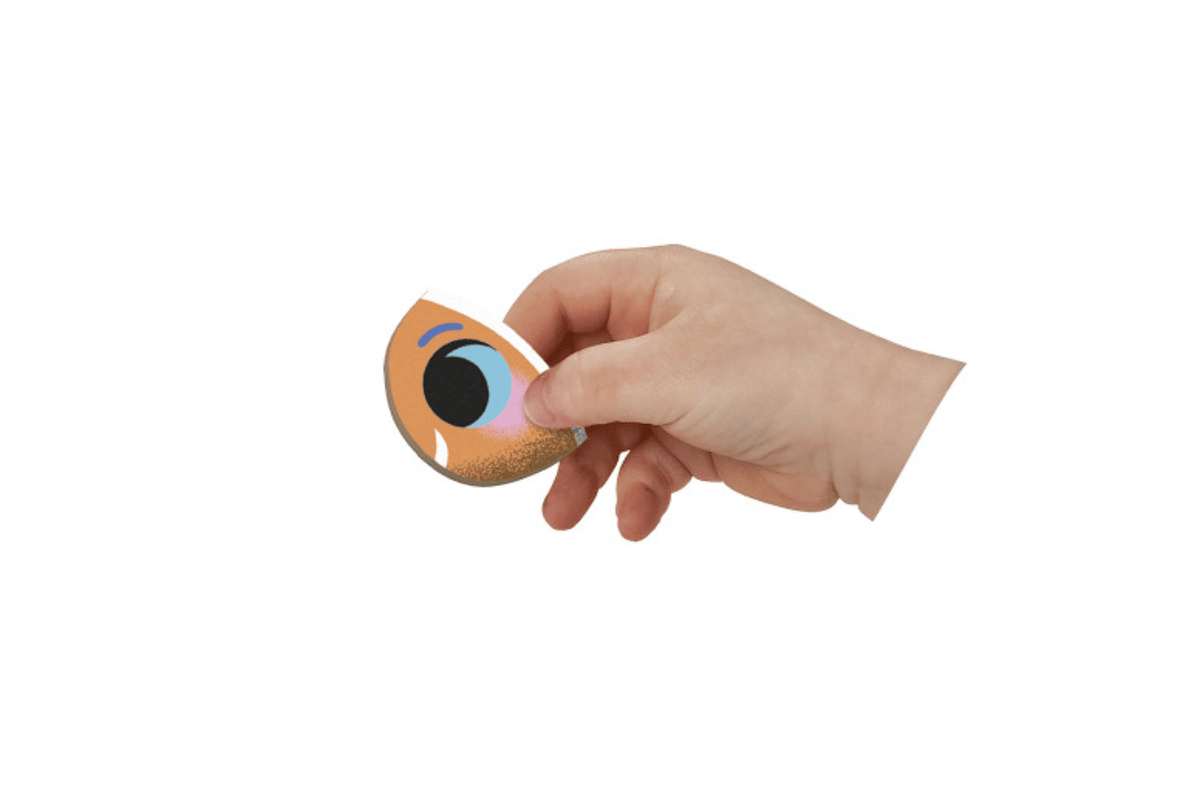 Pierre Belvediere Tropical Fish Magneti'book