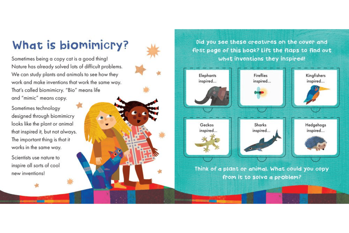 Barefoot Books Copy That, Copy Cat! by Katrina Tangen [Board book]