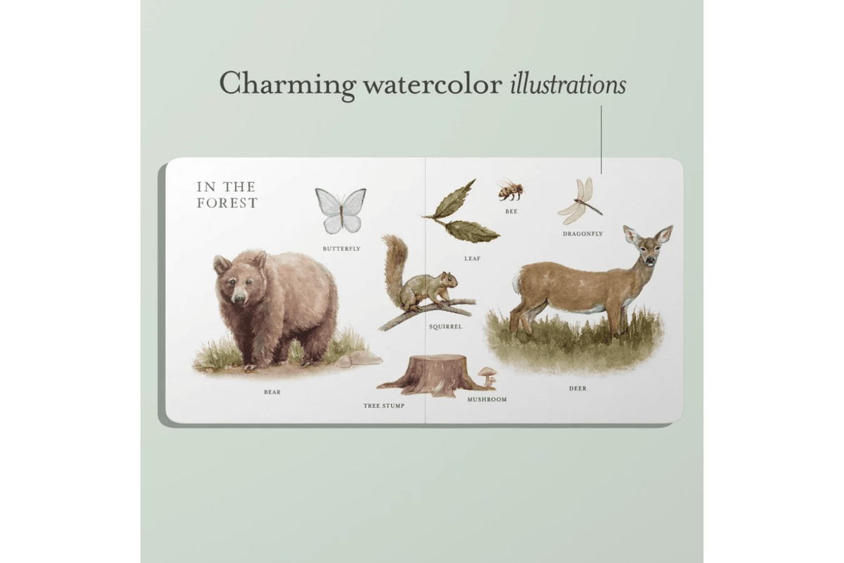 Penguin Random House Our Big Book Of First Words [BOARD BOOK]