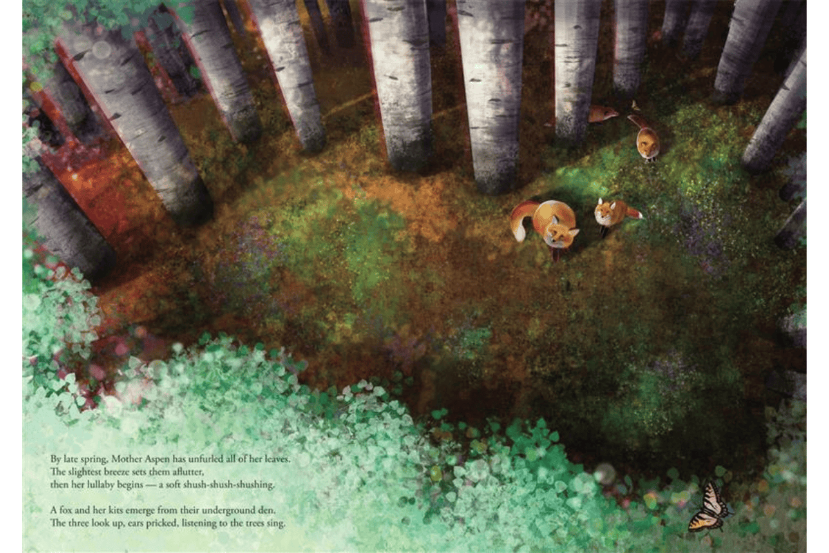 University of Toronto Press Book Mother Aspen: A Story of How Forests Cooperate and Communicate by Annette LeBox [HARDCOVER]