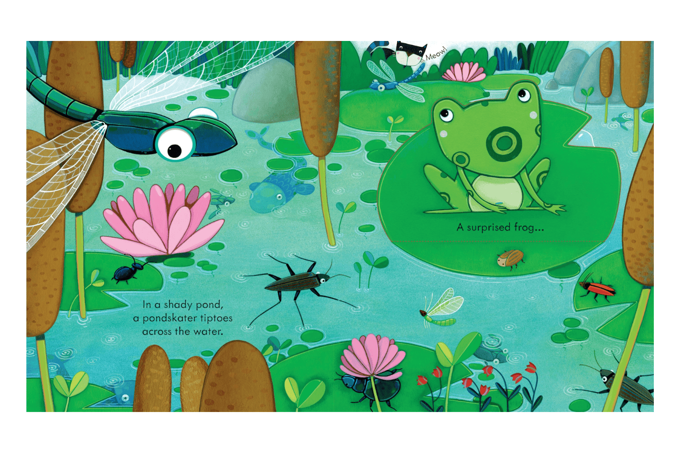 Harper Collins Usborne Peep Inside the Garden