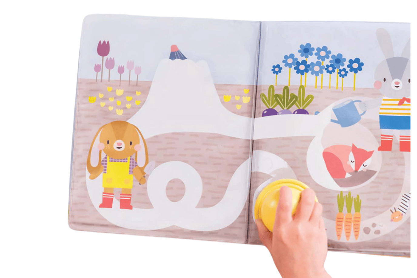 Peek-A-Boo Bath Book