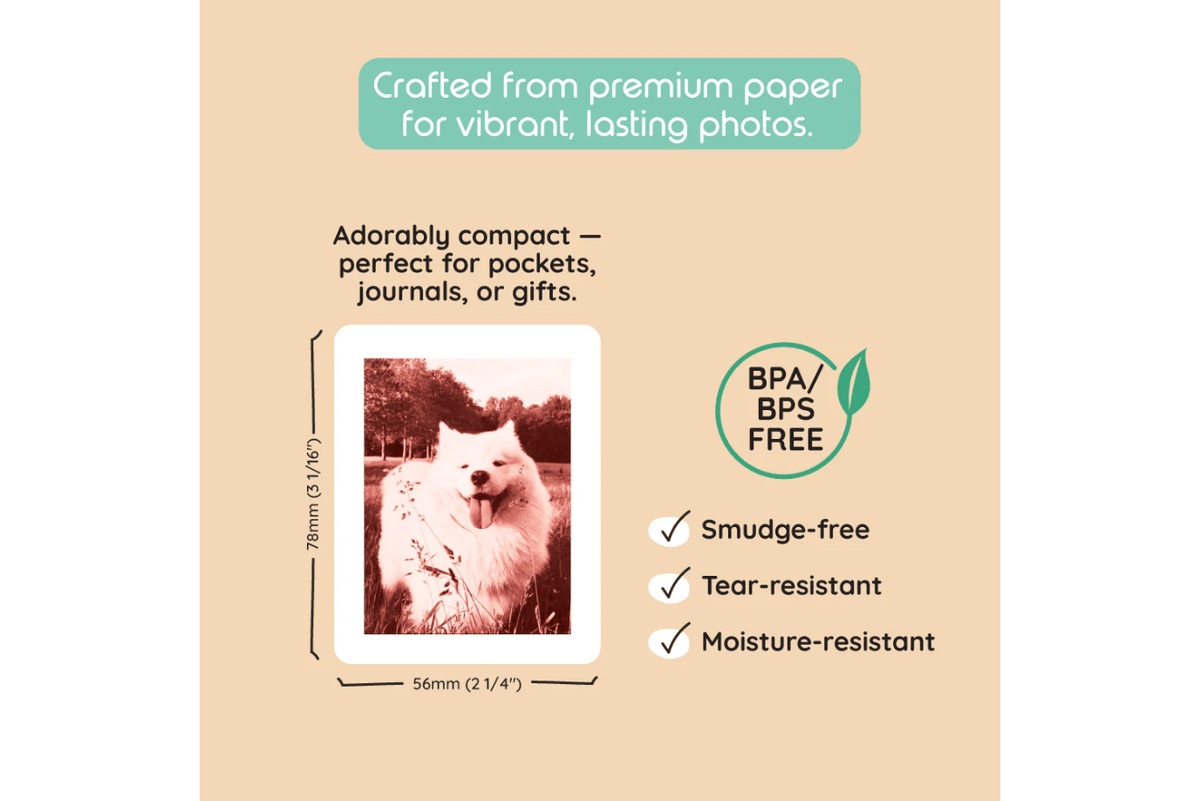 kiimento Kiimento Model P2 Print Packs