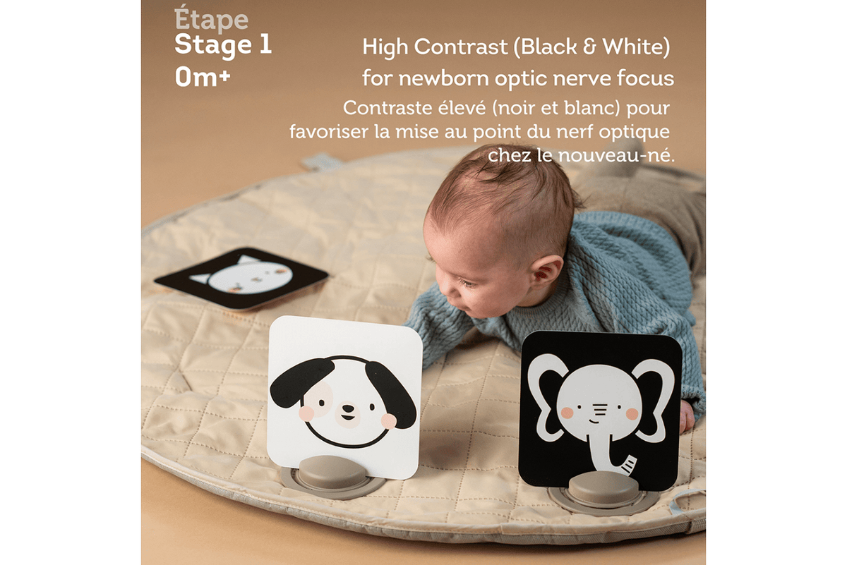 K.I.D. Toys Inc. Taf Toys - My First Tummy Time Cards