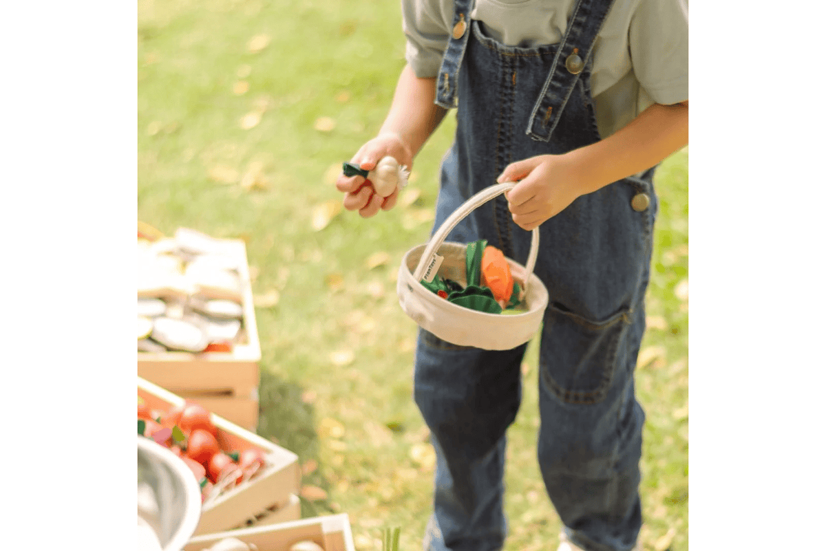 Fire the Imagination Plan Toys Fresh Veggie Basket