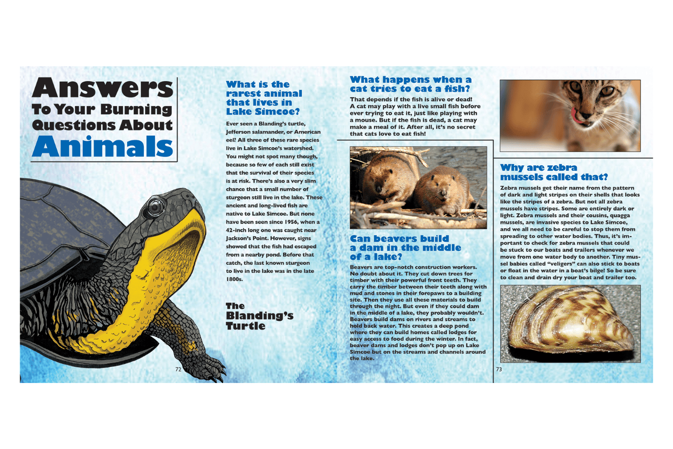 Firefly Books Do Fish Fart?: Answers to Kids' Questions About Lakes