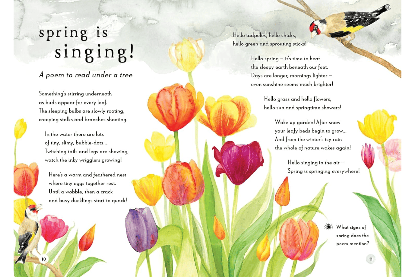 Penguin Random House Book A Field Guide to Spring: Play and Learn in Nature by Gabby Dawnay  [HARDCOVER]