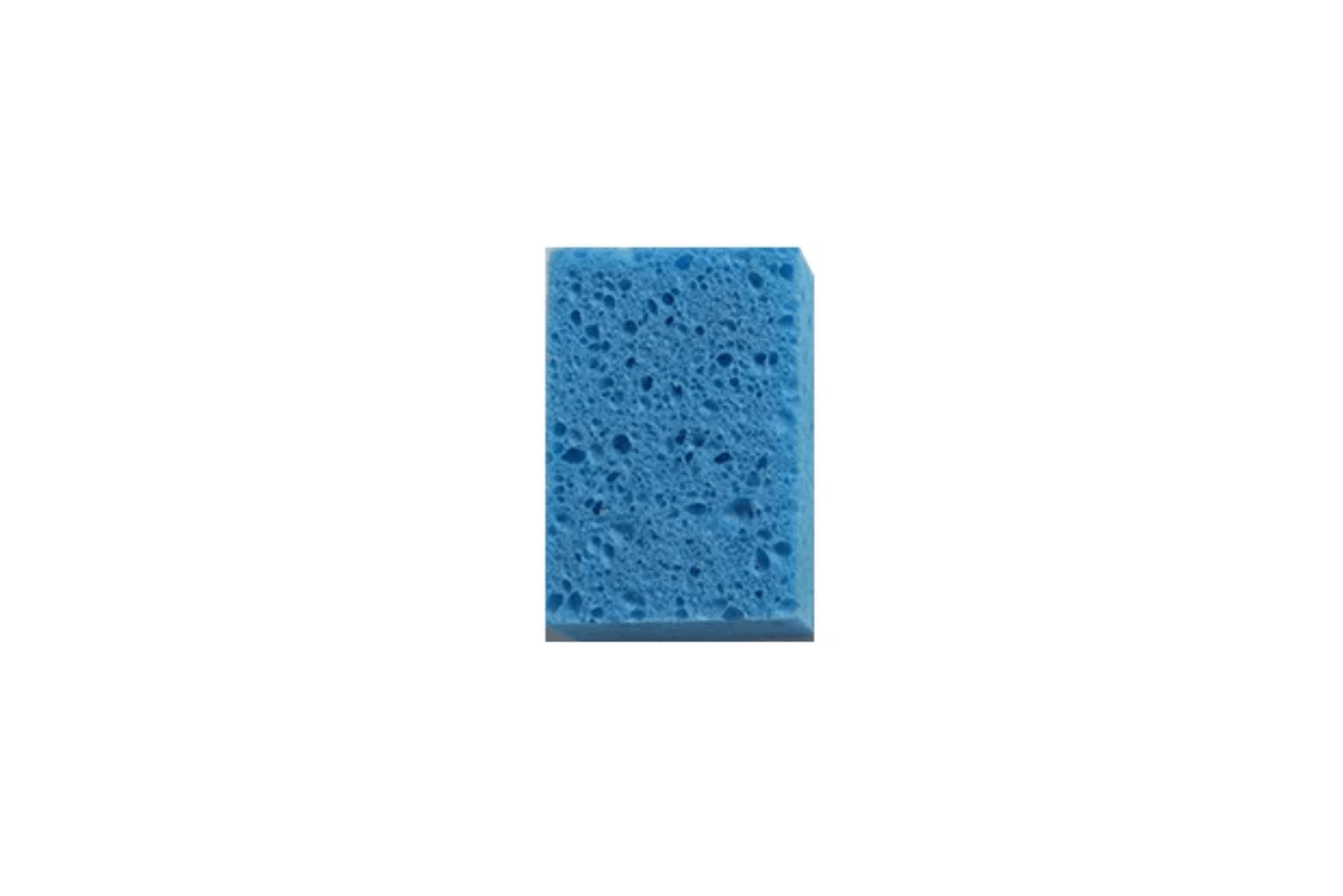 Small Sponges (various colours)