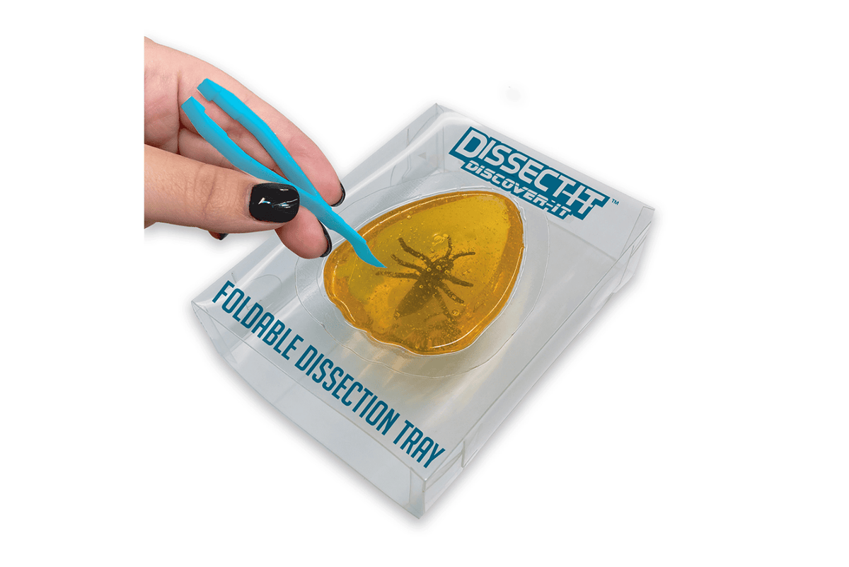 K.I.D. Toys Inc. Dissect It - Discover Kit