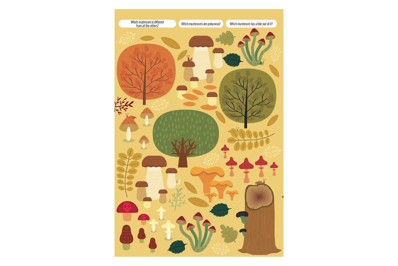 Firefly Books Find Me! Adventures: Look and Find Activity Books