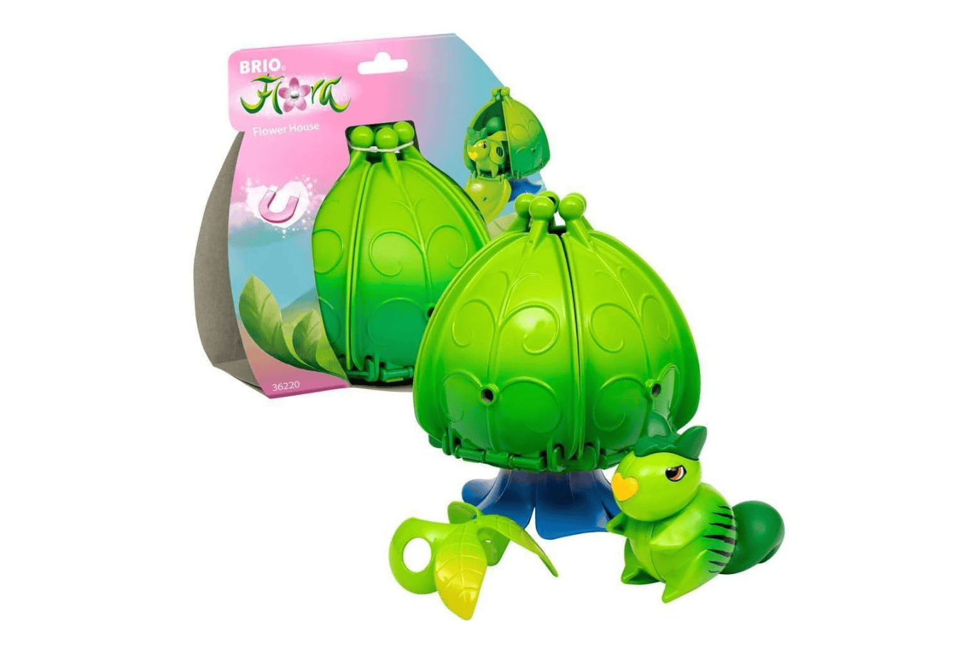Tracy Stevenson Ivy Brio Flora: Flower House & Characters