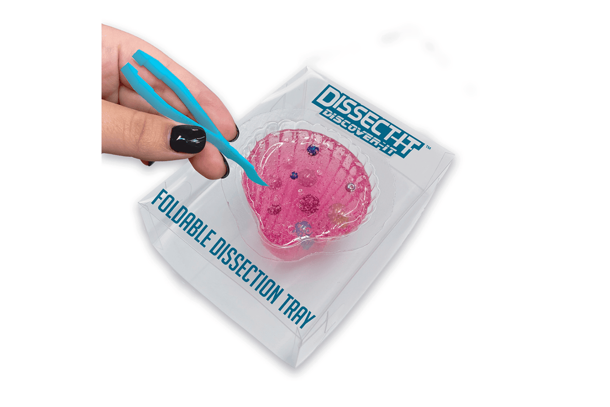 K.I.D. Toys Inc. Dissect It - Discover Kit