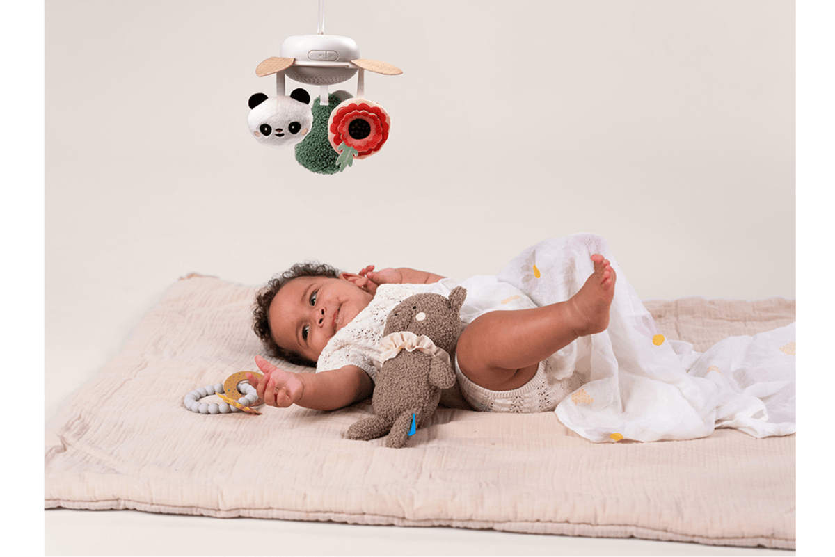 Taf Toys - Luxury Newborn Kit