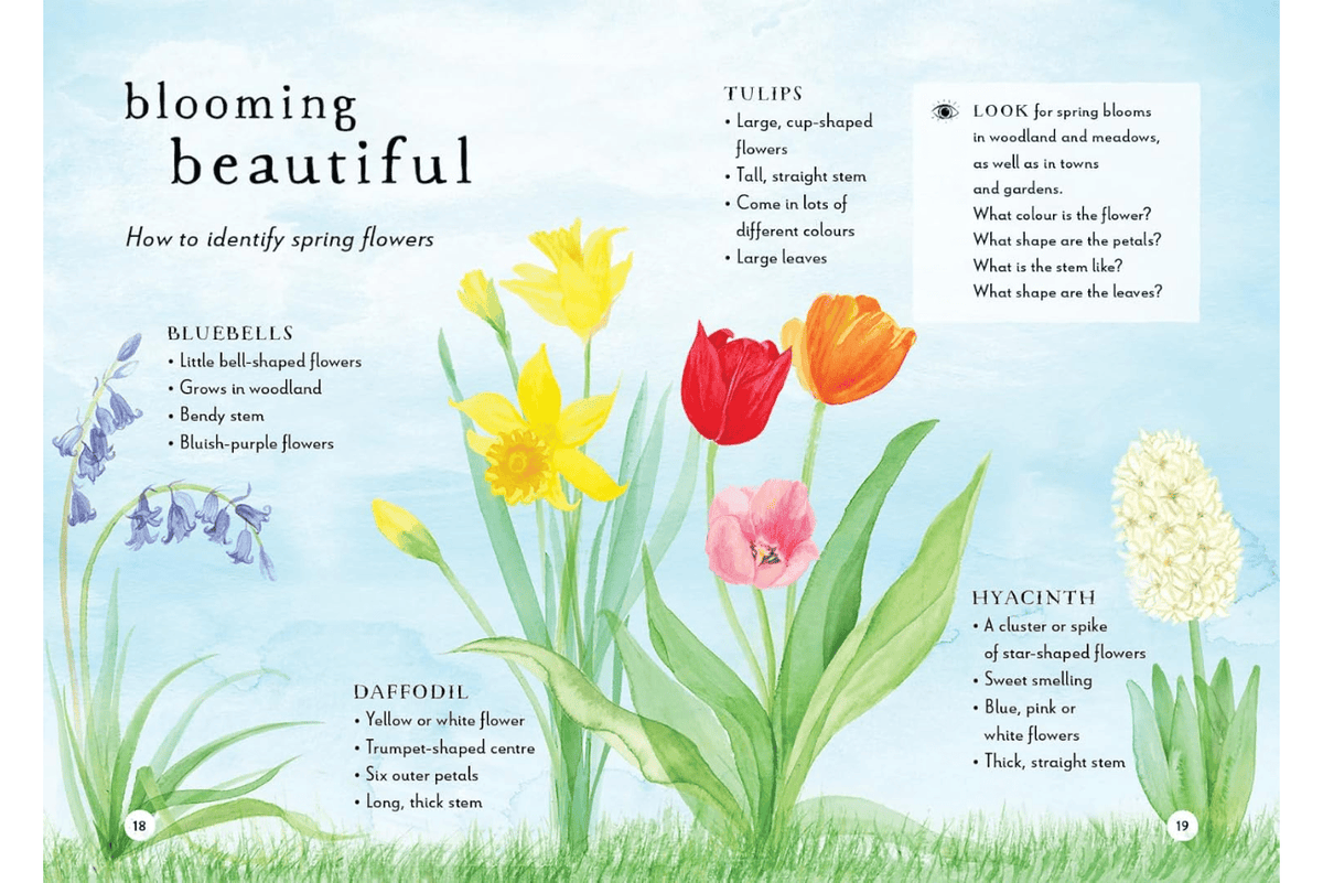 Penguin Random House Book A Field Guide to Spring: Play and Learn in Nature by Gabby Dawnay  [HARDCOVER]