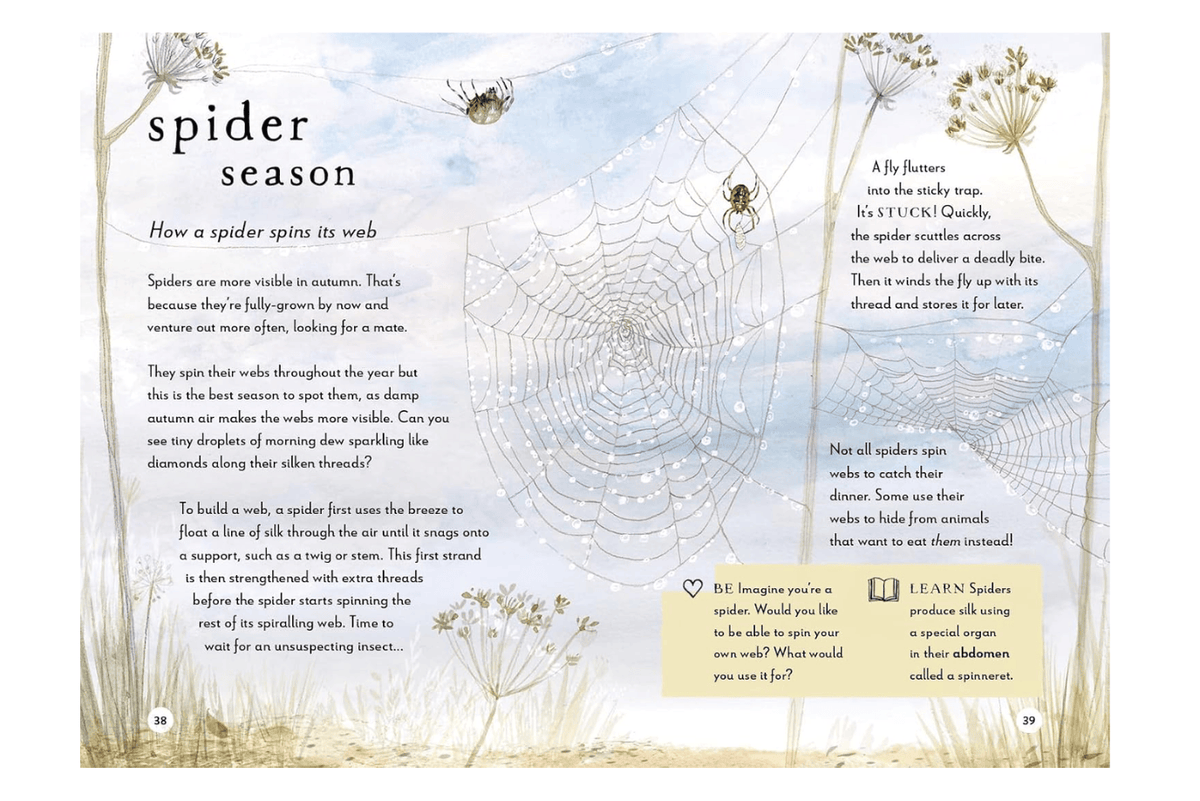Penguin Random House A Field Guide to Autumn: Play and Learn in Nature by Gabby Dawnay [Hardcover]