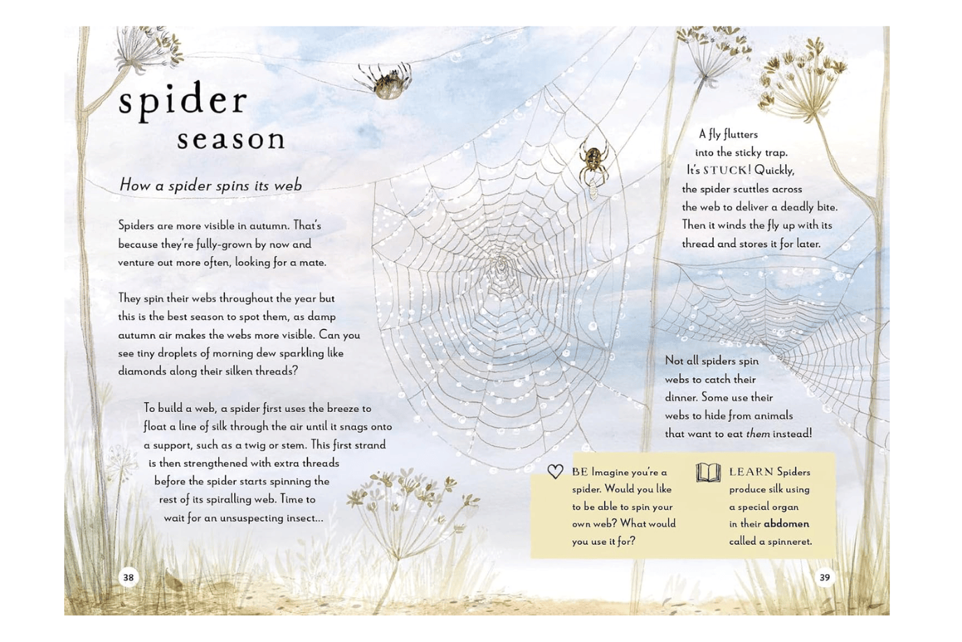 Penguin Random House A Field Guide to Autumn: Play and Learn in Nature by Gabby Dawnay [Hardcover]