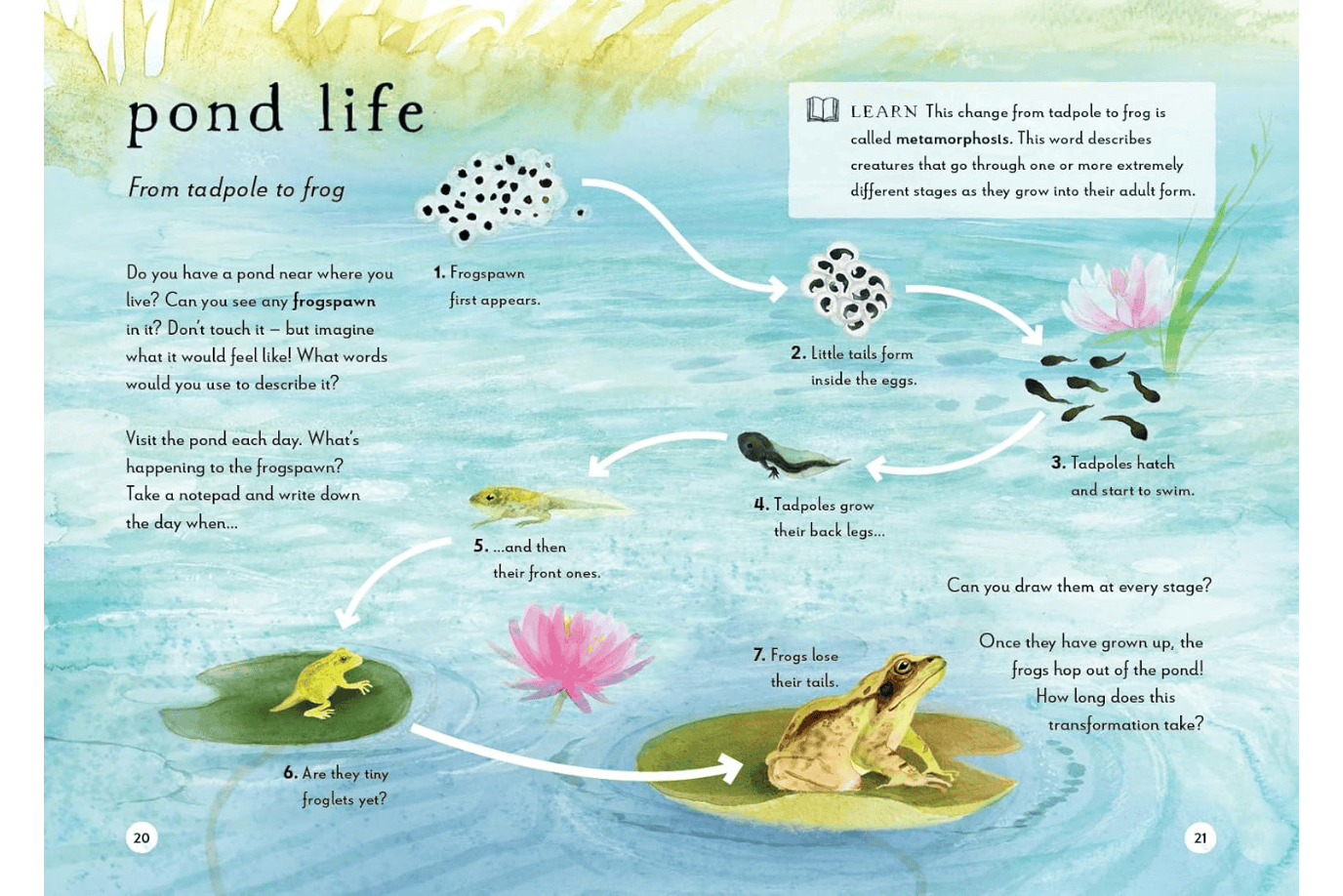 Penguin Random House Book A Field Guide to Spring: Play and Learn in Nature by Gabby Dawnay  [HARDCOVER]