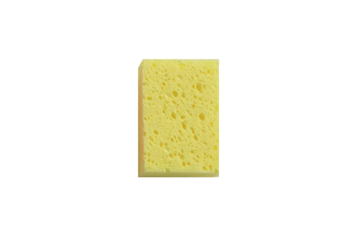Small Sponges (various colours)