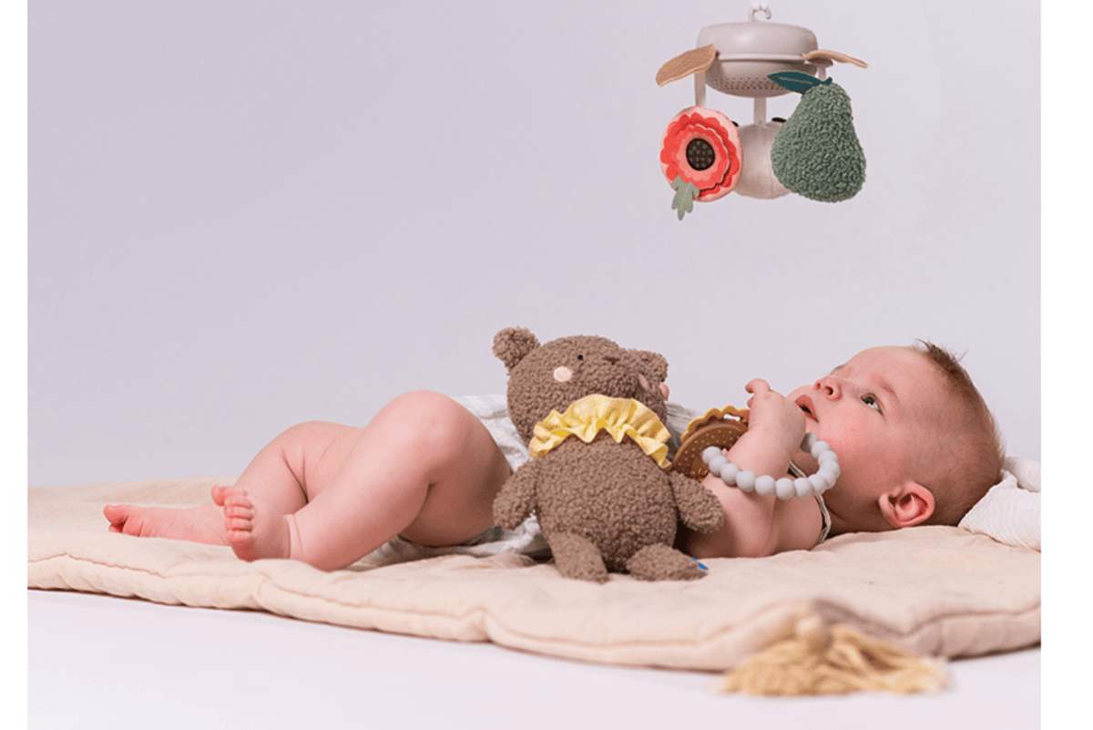 Taf Toys - Luxury Newborn Kit