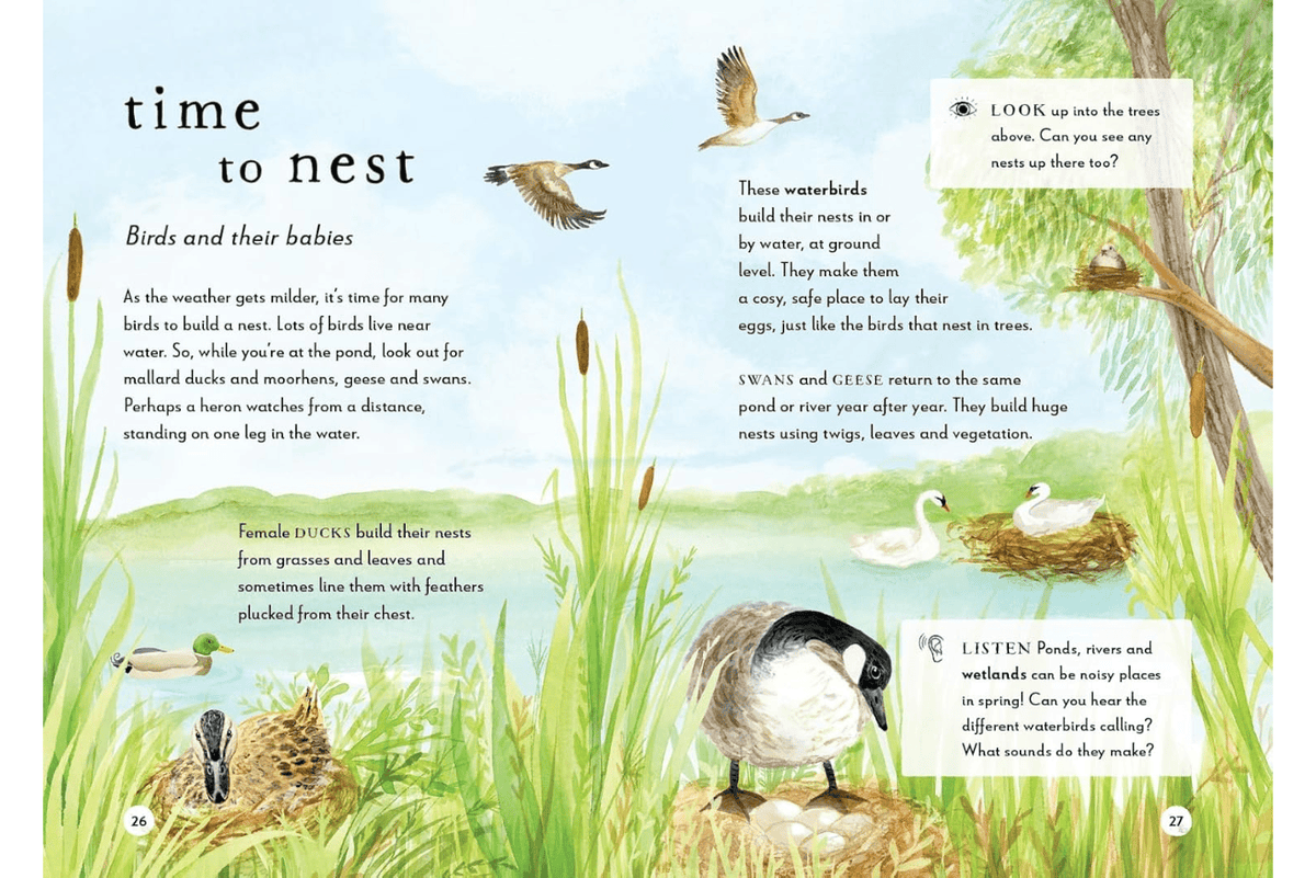 Penguin Random House Book A Field Guide to Spring: Play and Learn in Nature by Gabby Dawnay  [HARDCOVER]