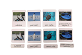 3-Part Language Cards - Marine Animals