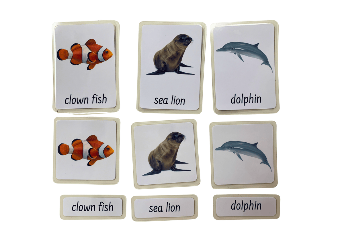 Adena Montessori 3-Part Language Cards - Ocean Animals