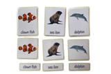 3-Part Language Cards - Ocean Animals