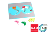 GAM - World Puzzle Map