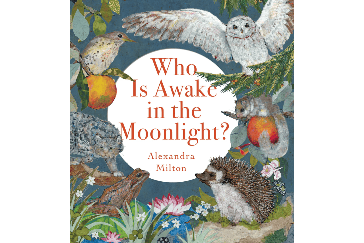 Hachette Book Group Book Who Is Awake in the Moonlight? [Hardcover] by Alexandra Milton
